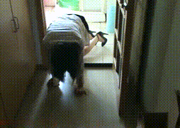 小母狗实践吊着打